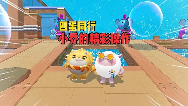 四蛋同行！小小全国直接拿下