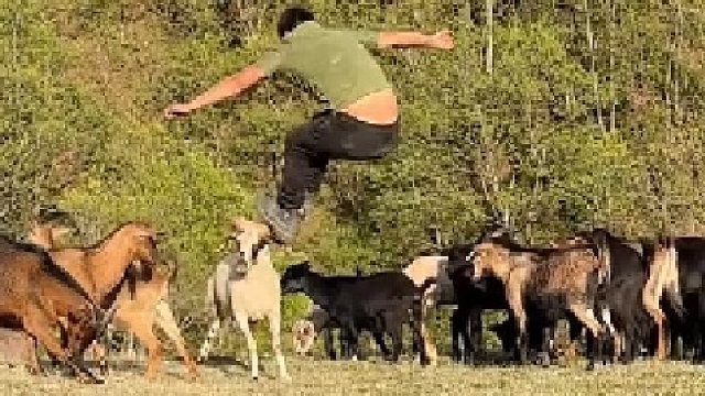 挑战跳山羊我是认真的