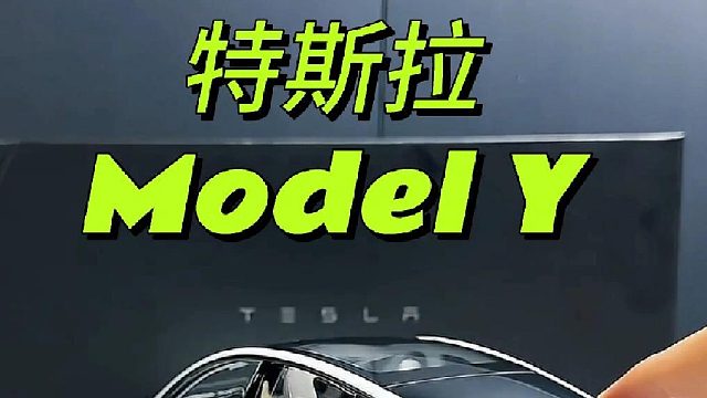 特斯拉model y模型