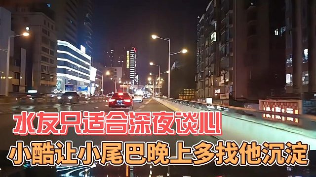小酷让小尾巴晚上多找他沉淀，水友只适合深夜谈心