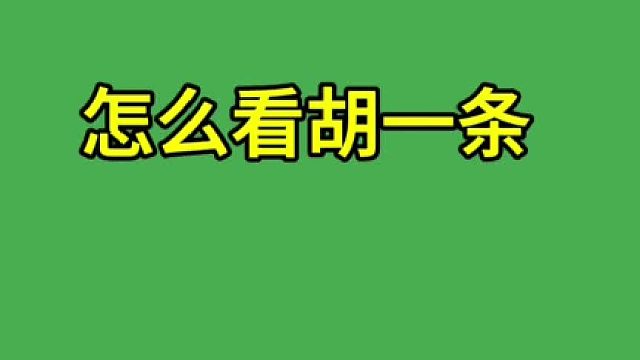 这一条胡吗