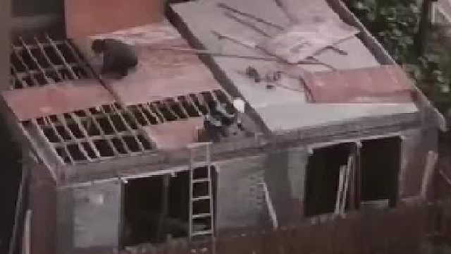 一楼业主他违规盖房子，该怎么办。