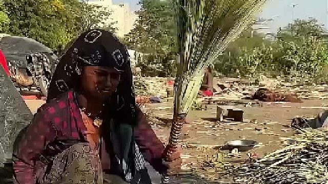 棕榈叶打造扫帚