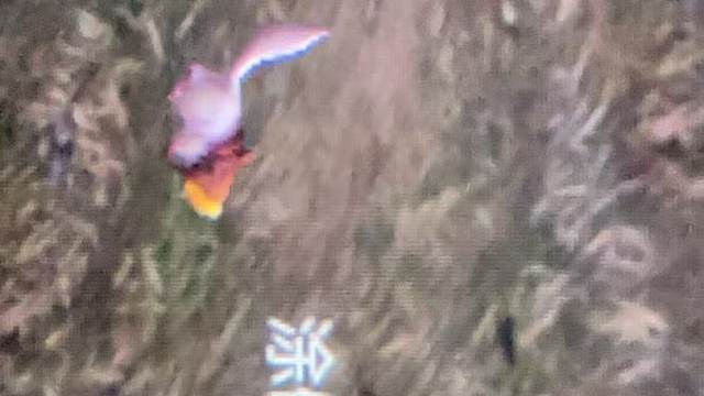 挂机打怪上传举报用