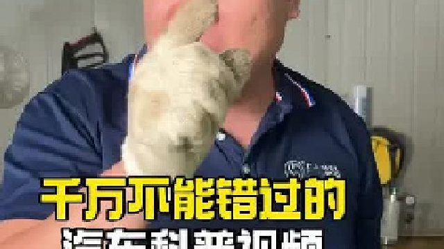 我就说真话，我看黑子有多少！