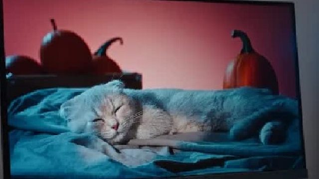 适合三角洲行动的显示器我找到了！