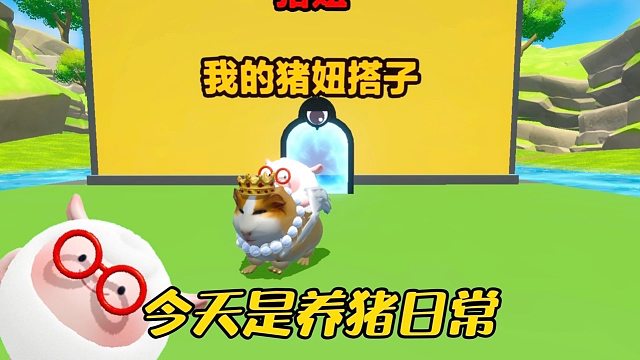【双蛋同行】今天是养猪主理人