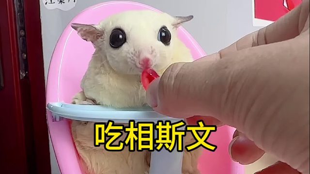 这吃得也太斯文了，是不喜欢吃吗