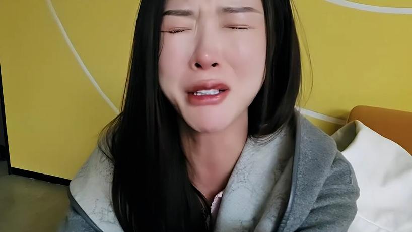 四犬的日常的直播