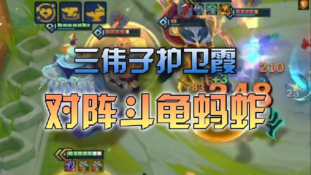 三伟子护卫霞对阵斗龟蚂蚱