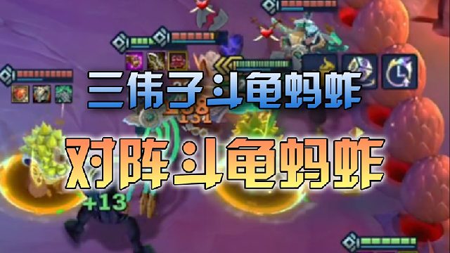 三伟子斗龟蚂蚱对阵斗龟蚂蚱