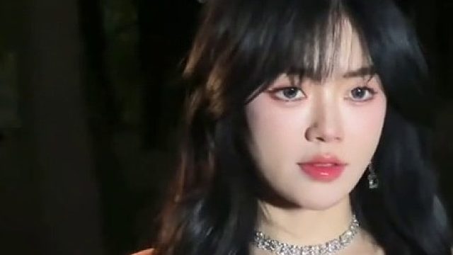 风是自由的 我也是