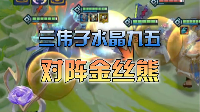 三伟子水晶九五对阵金丝熊