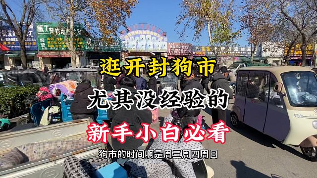 喜欢逛狗市的注意啦，尤其是新手没经验的小白，记好时间听劝别莽