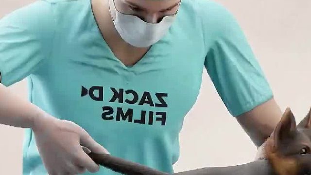 人类对狗狗造成的伤害有多严重！