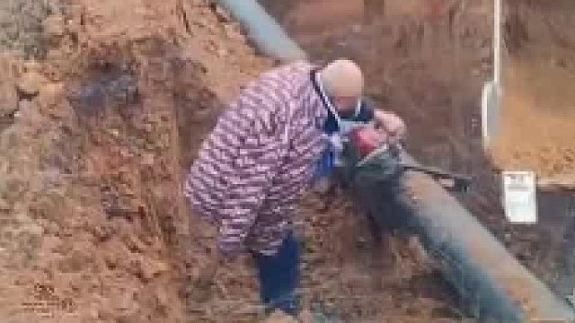 老爷子不让安水管直接拿着电锯来阻扰施展