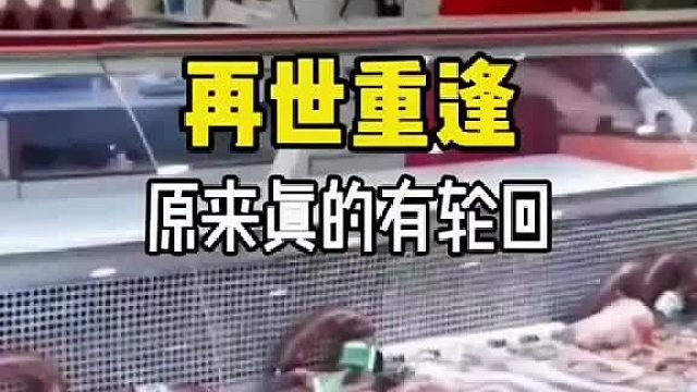 是爱跨越时空的精准投递