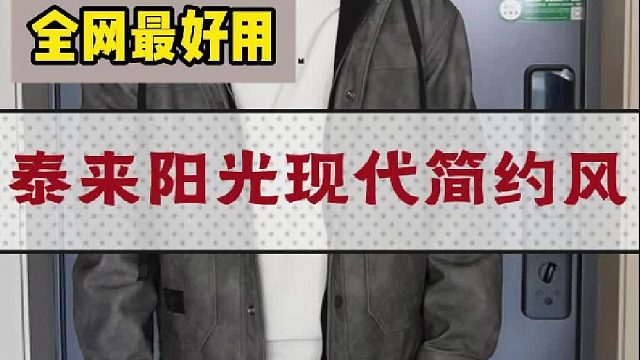 泰来阳光现代简约风