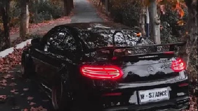 寒冬将至，枫叶落