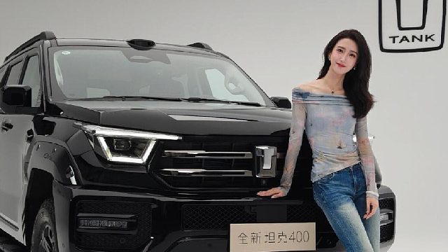 智能化、能源形式全部向坦克500拉齐，你们觉得它能行吗