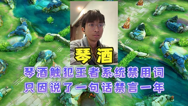琴酒局内触犯王者系统禁用词，只因说了一句话就惨遭禁言一整年