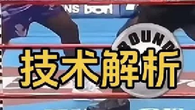 泰森vs霍利菲尔德一番战技术解析