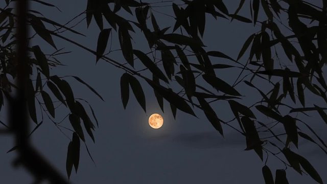 配音员的年龄会影响声音吗梨花教育