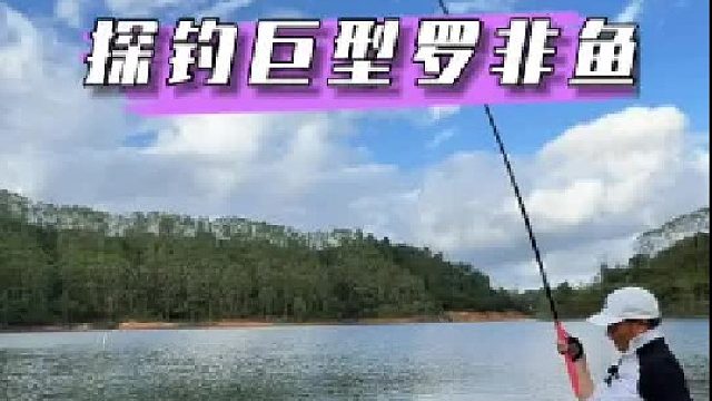 探钓巨型罗非鱼