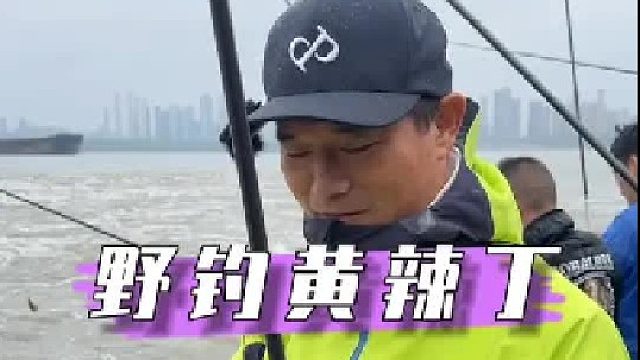野钓狂拔黄辣丁