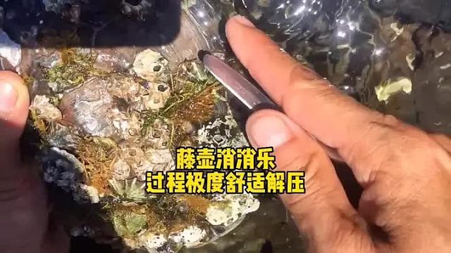 海龟的吉利服被脱落下来，过程极度舒适，最后有一段话分享给大家
