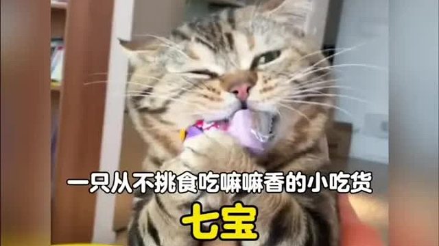 一枚吃嘛嘛香很好养活的小吃货