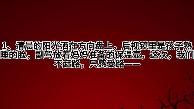 清晨阳光洒在方向盘上：温馨治愈风