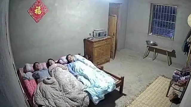 家里有母老虎，该怕什么