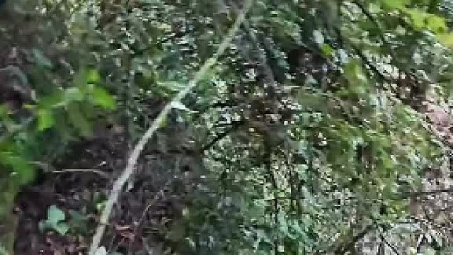 男子在自己的山上巡视，没想到发现两个陌生人来挖东西。