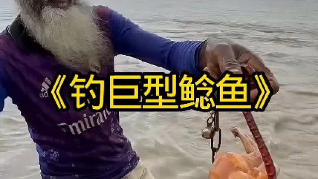 河里钓巨型鲶鱼