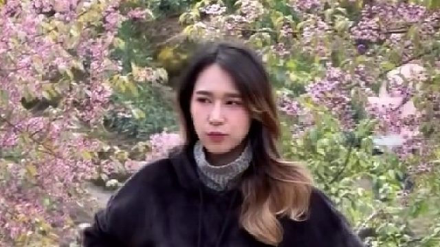 向阳而生，我依旧是我。