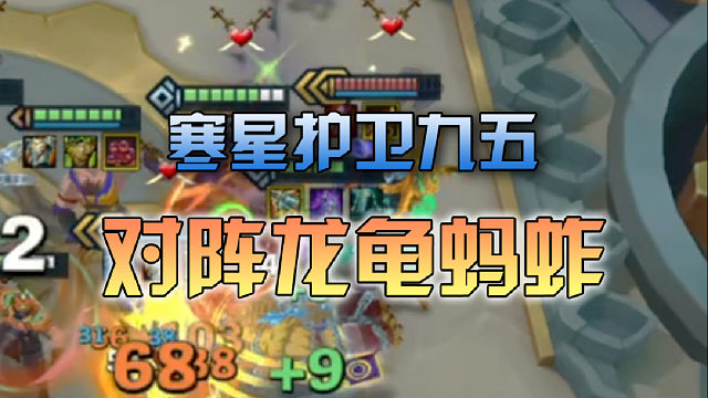 寒星护卫九五对阵龙龟蚂蚱