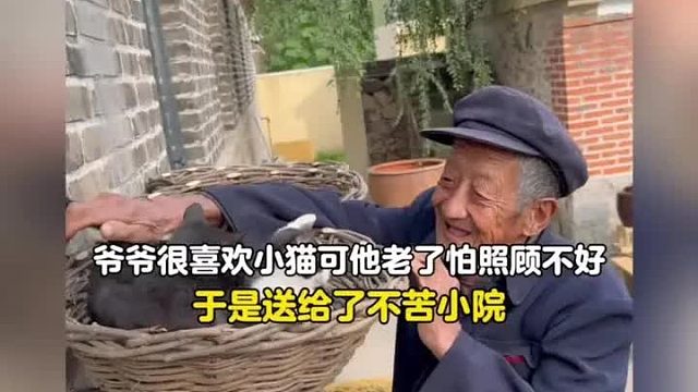 爷爷很喜欢小猫，可他年纪大了怕照顾不好，所以全部送到了小院
