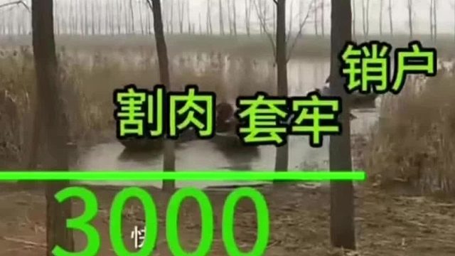 “老乡别走啊”,中长期资金来了!套路再现,走OR不走“国家队”再次出手,A股又上演老乡、别走!