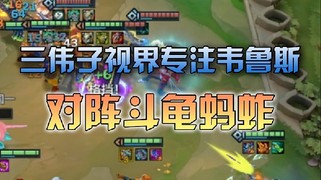 三伟子视界专注韦鲁斯对阵斗龟蚂蚱