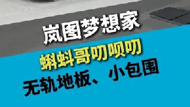 岚图梦想家，升级无轨地板和小包围套件