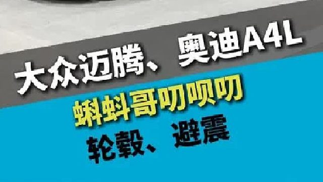 大众迈腾，奥迪A4L，升级轮毂和避震