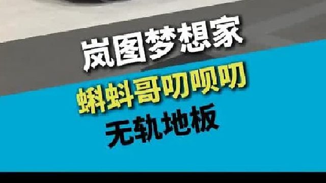 岚图梦想家26款，无轨地板升级方案