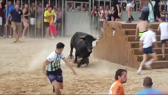 极限逗牛挑战，谁能把牛哥引到海里，就能获得算你厉害的头衔