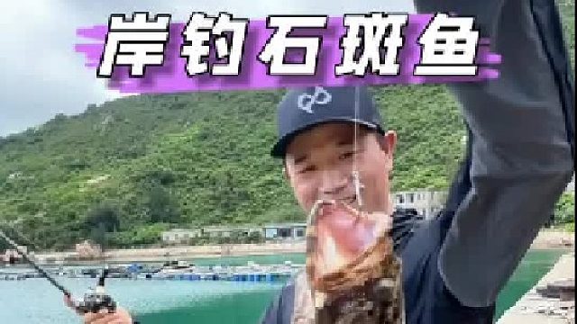 万山群岛岸钓石斑鱼。