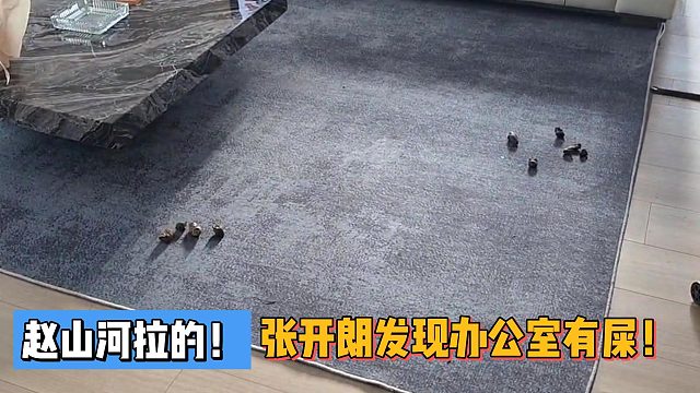 赵山河拉的！张开朗发现办公室有屎！
