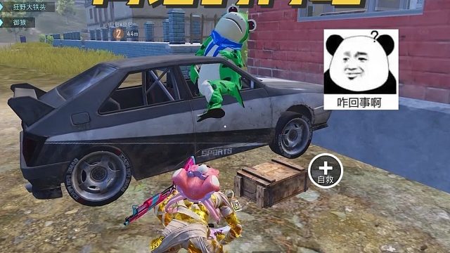 蛙变盒后，竟悠闲地翘起了腿