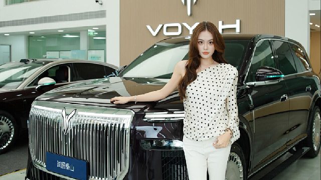 岚图泰山 于移动中见安定