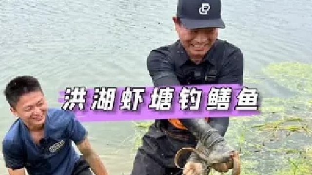 和水猴子一起抓鳝鱼