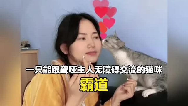世界破破烂烂，小猫缝缝补补 当猫咪意识到主人听不见后，就再也没有喵喵叫过